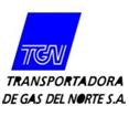 logo tgn